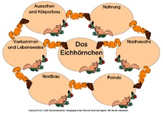 Mindmap-Eichhörnchen-4.pdf